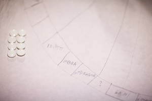IMG 7243